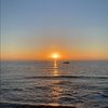 miamilutinovic4